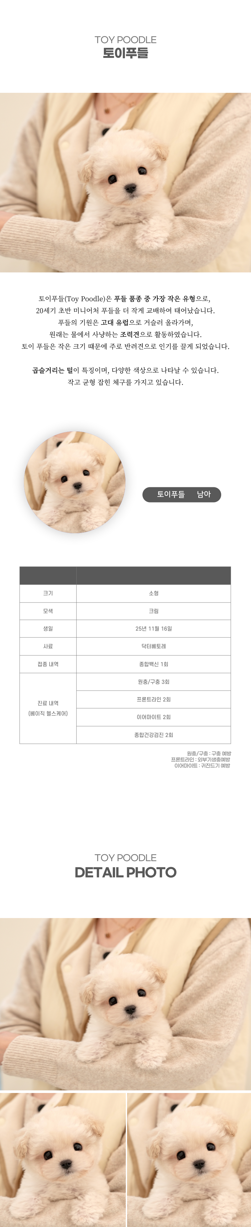 토이푸들_상세이미지_2